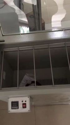 HDG-200C Forno de secagem de filme em infravermelho distante 220V 2000W