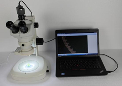 Microscópio Estereoscópico Digital HSM-645S com Câmera de 3MP